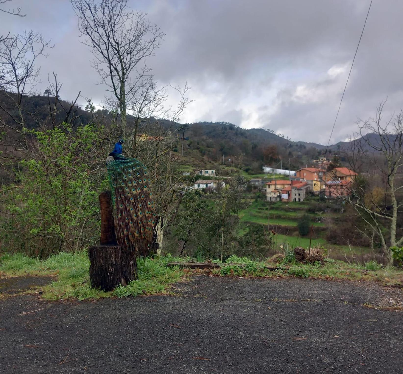 La Valle Fiorita Soviore Exterior foto